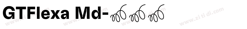 GTFlexa Md字体转换